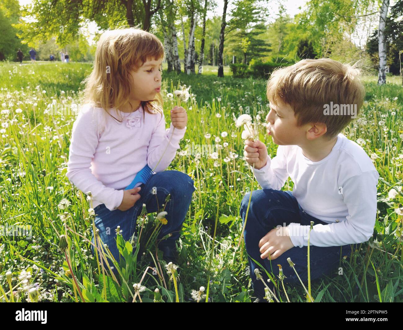 Boy and girl on the grass. Cute children gather meadow flowers and blow