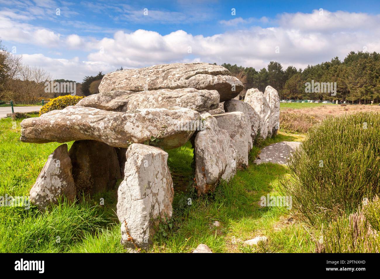 Dolmen de Kermario, a prehistoric burial chamber among the Carnac monuments in Morbihan, France Stock Photo