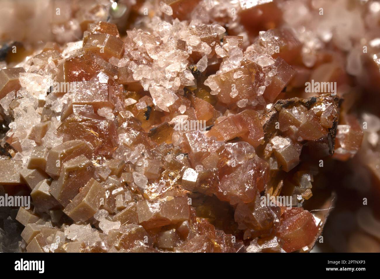 Orange / Brown Stilbite crystals (from Moorse Station Quarry, New Jersey, US) Stock Photo
