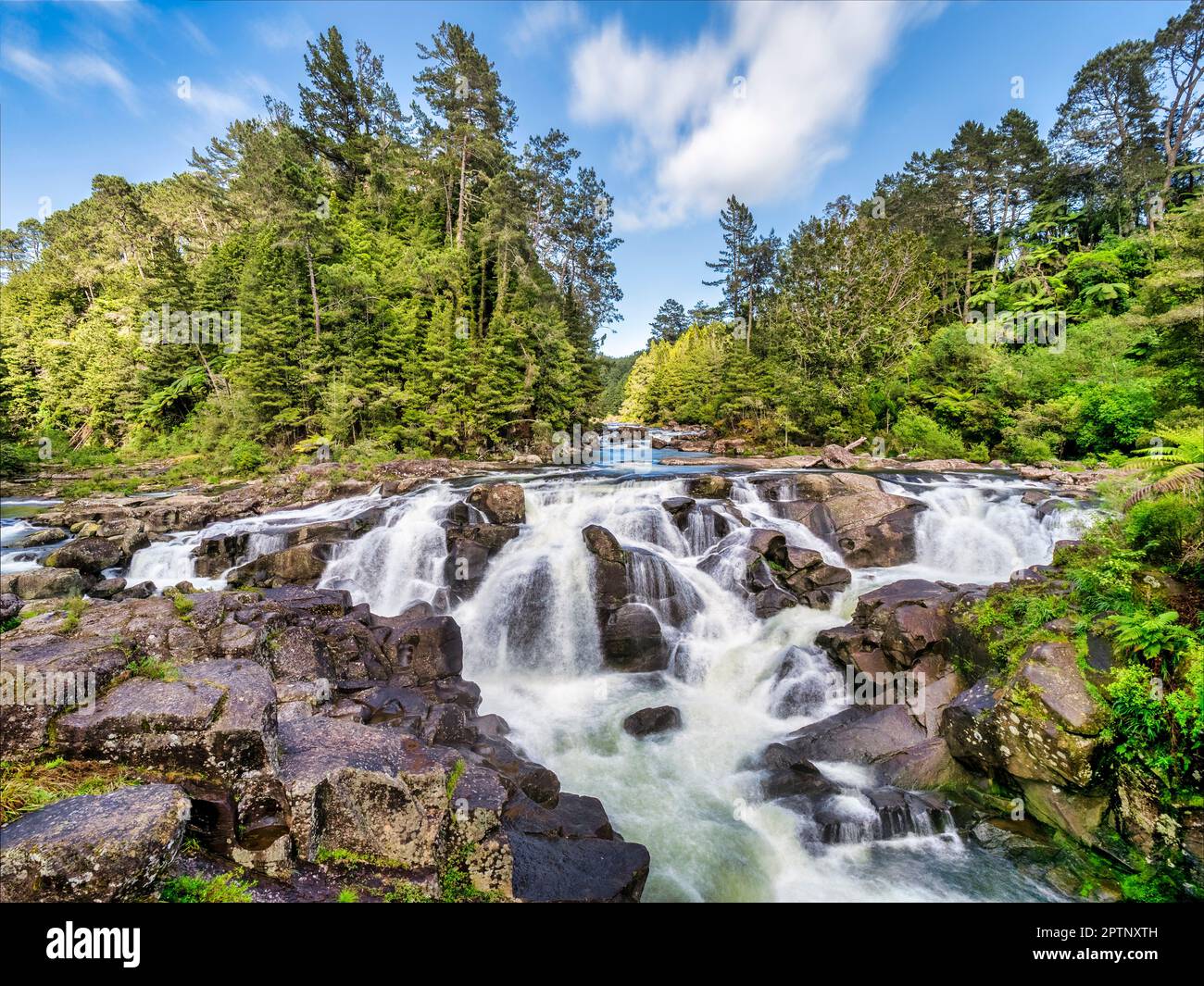 McLaren Falls on the Wairoa River, south of Tauranga, in the Bay of