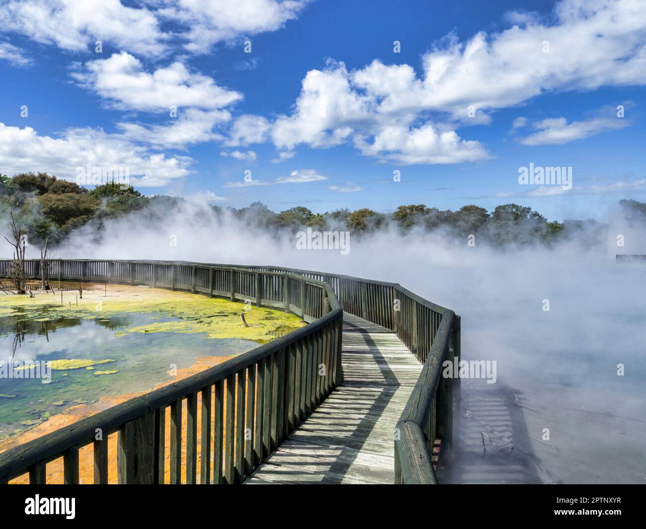 Walkway in Kuirau Park, a public park and thermal area in Rotorua, Bay