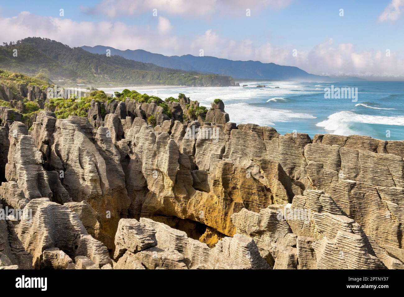 Pancake Rocks, or Punakaiki, on the West Coast of New Zealand. The reason these rocks are in layers is unknown. Stock Photo