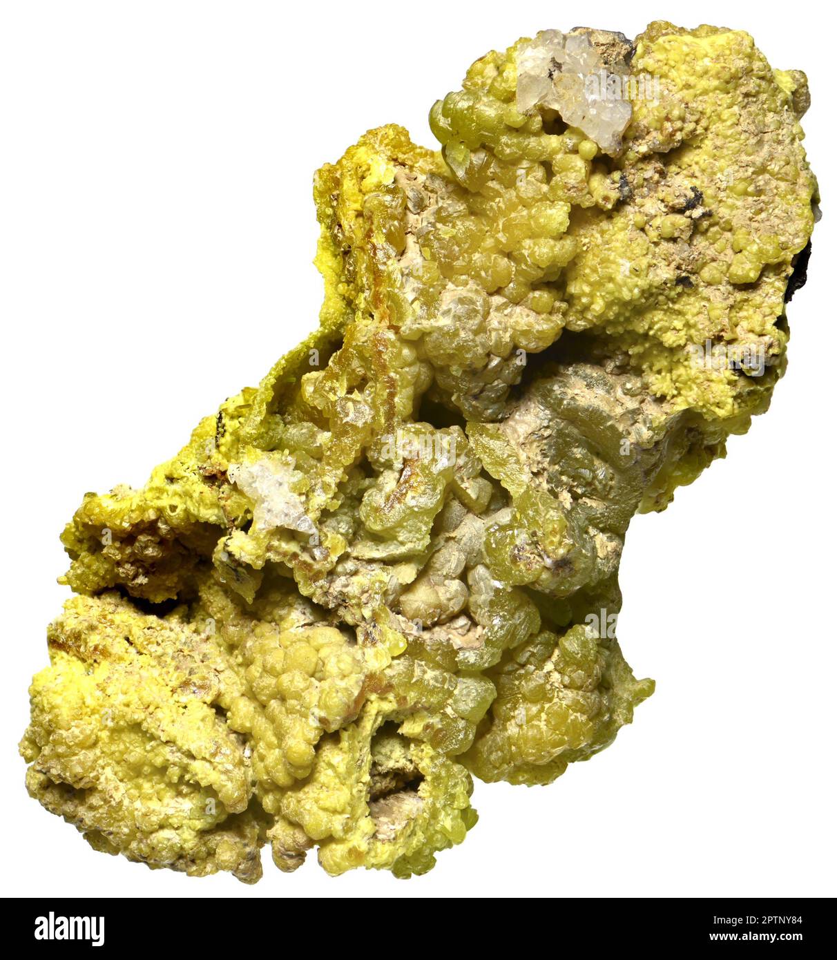 Green Pyromorphite [ Pb5(PO4)3Cl ] sample c.5cm long Stock Photo