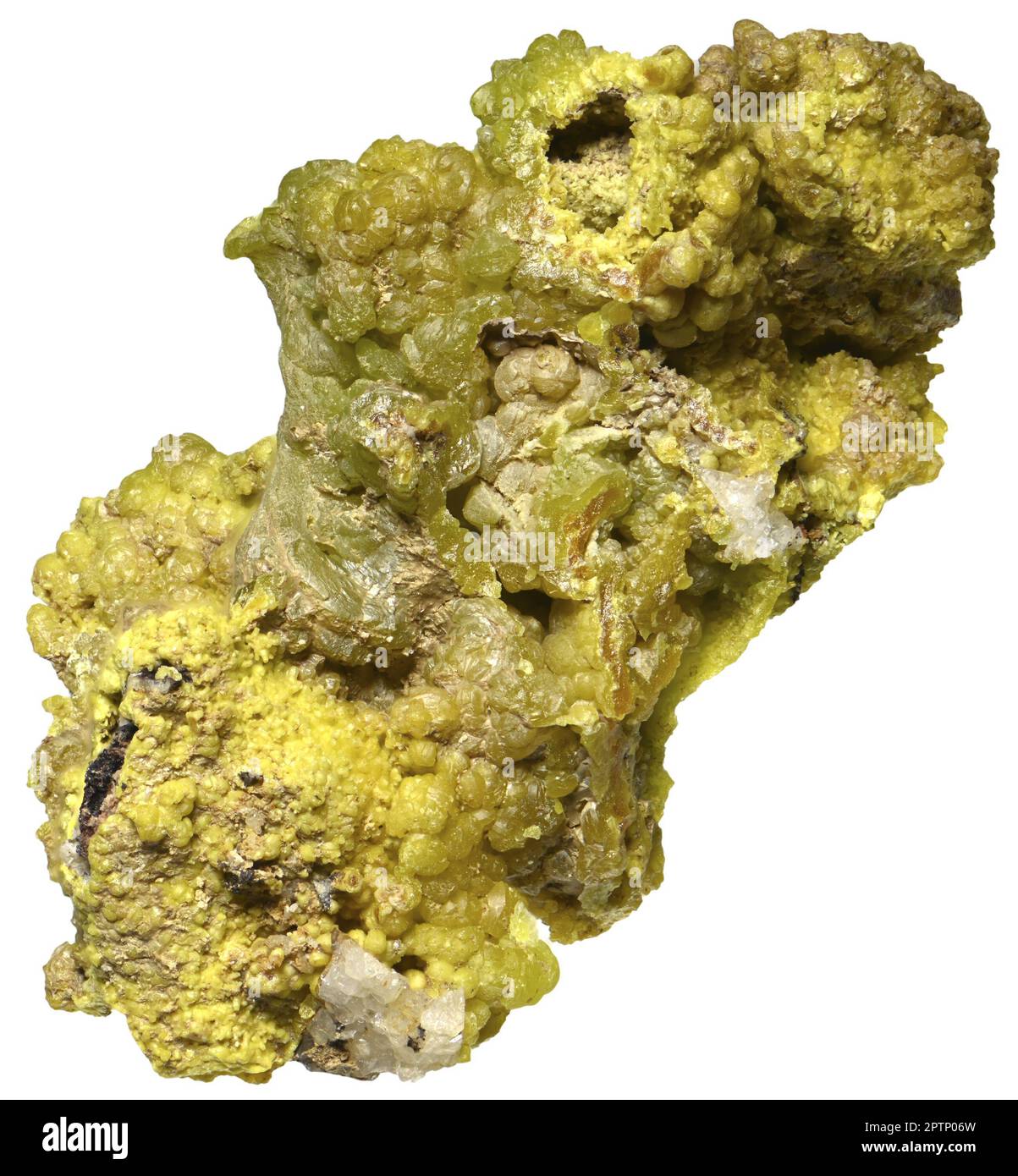 Green Pyromorphite [ Pb5(PO4)3Cl ] sample c.5cm long Stock Photo