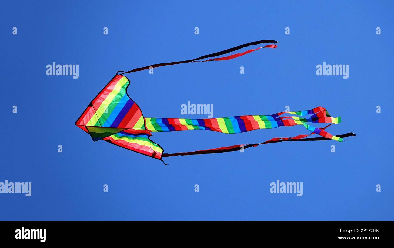 Children are flying kite hi-res stock photography and images