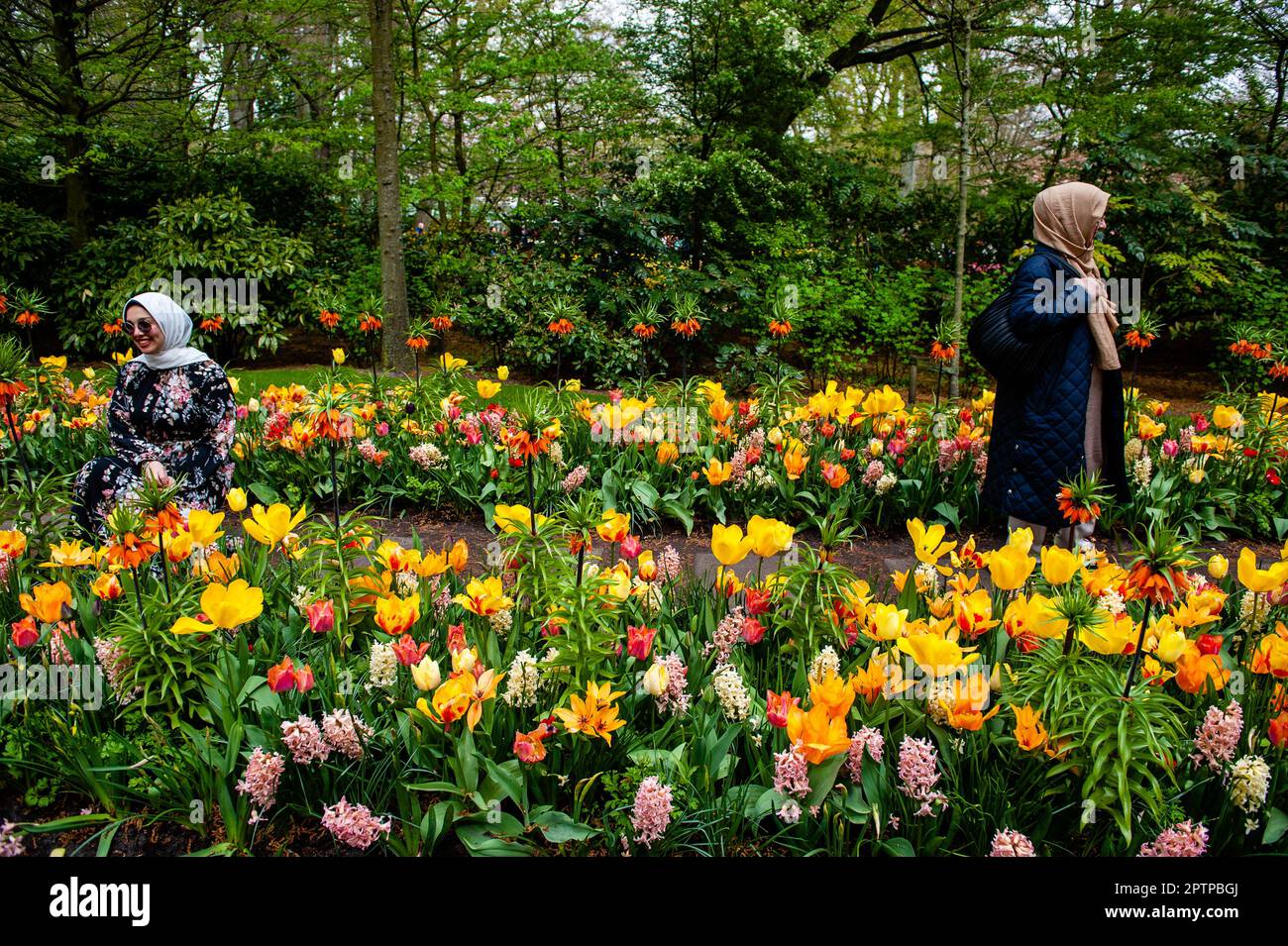 Dutch Floriculture April 23rd, Lisse. Keukenhof is also known as the Garden of Europe one ...
