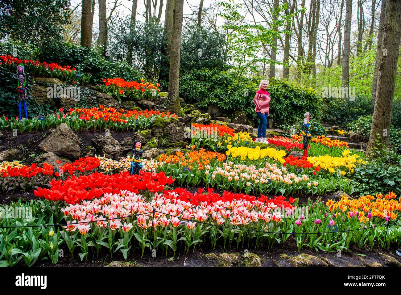 Dutch Floriculture April 23rd, Lisse. Keukenhof is also known as the Garden of Europe one ...