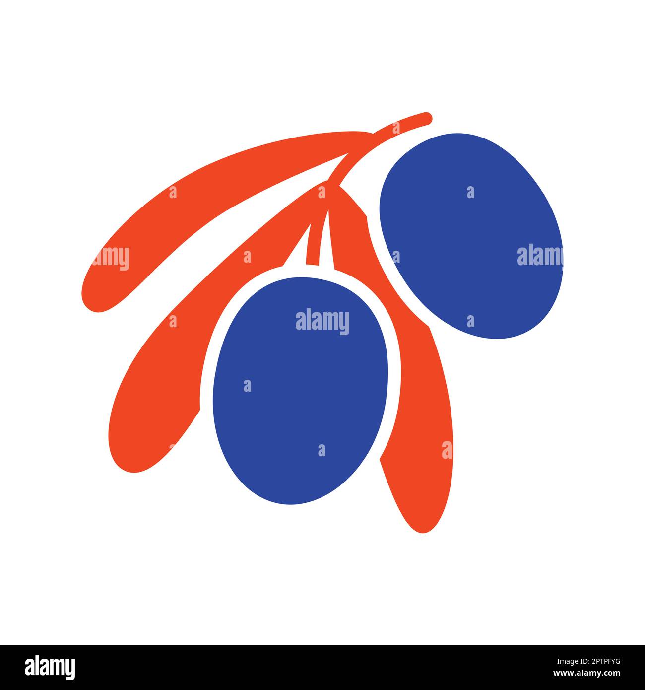 Olive branch, leaves and olives vector icon Stock Vector