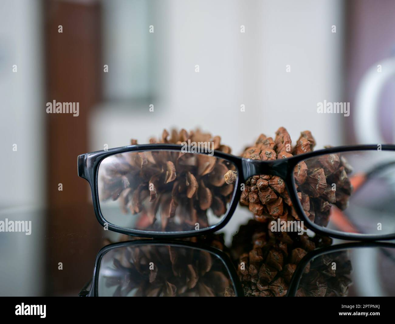 Reading glasses and dried pine cones, Pinus merkusii seeds, shallow focus Stock Photo