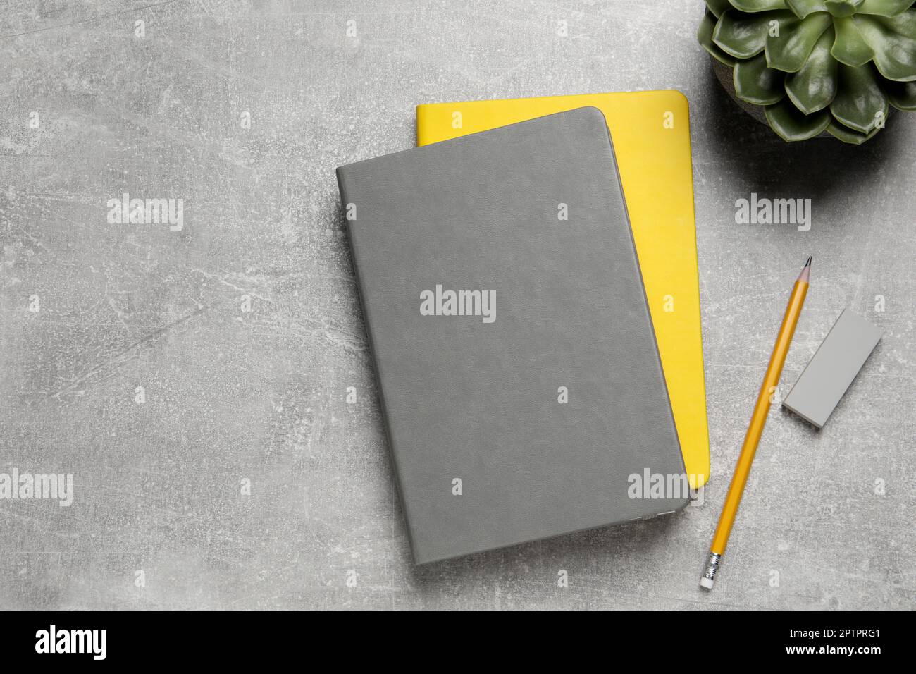 Notebooks, plant, pencil and eraser on light grey table, flat lay Stock Photo