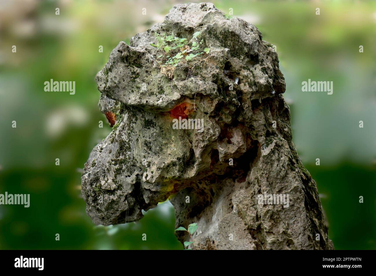 Fantasy fable like hi-res stock photography and images - Alamy