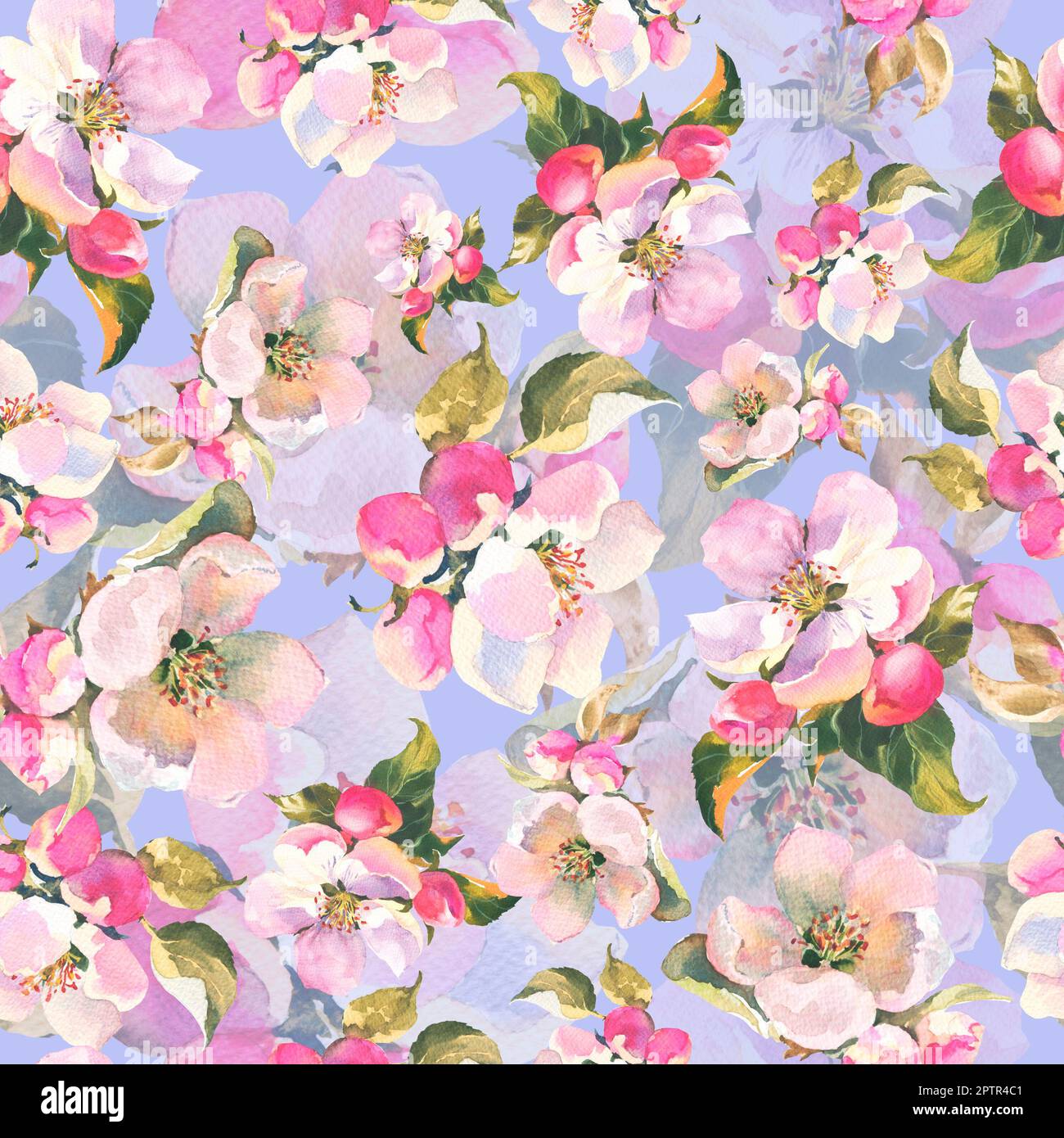 Seamless pattern with blooming apple tree branches on blue. Floral ...