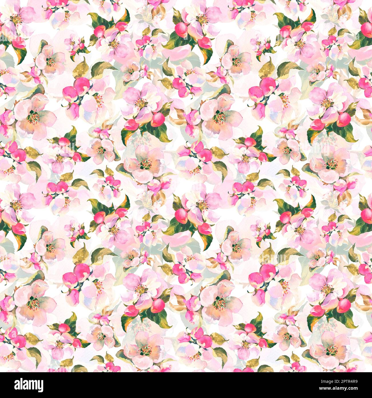 Seamless pattern with blooming apple tree branches on white. Floral ...