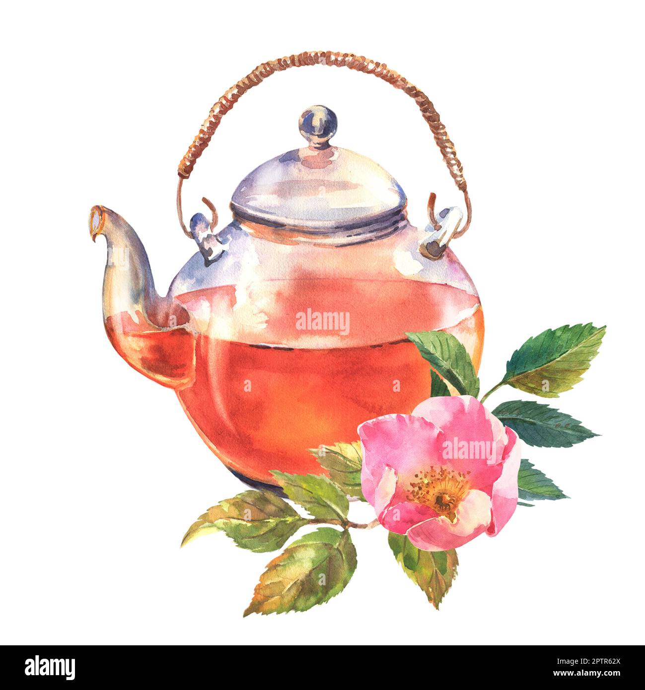 Beautiful glass teapot with dog roses flowers. Watercolor kettle
