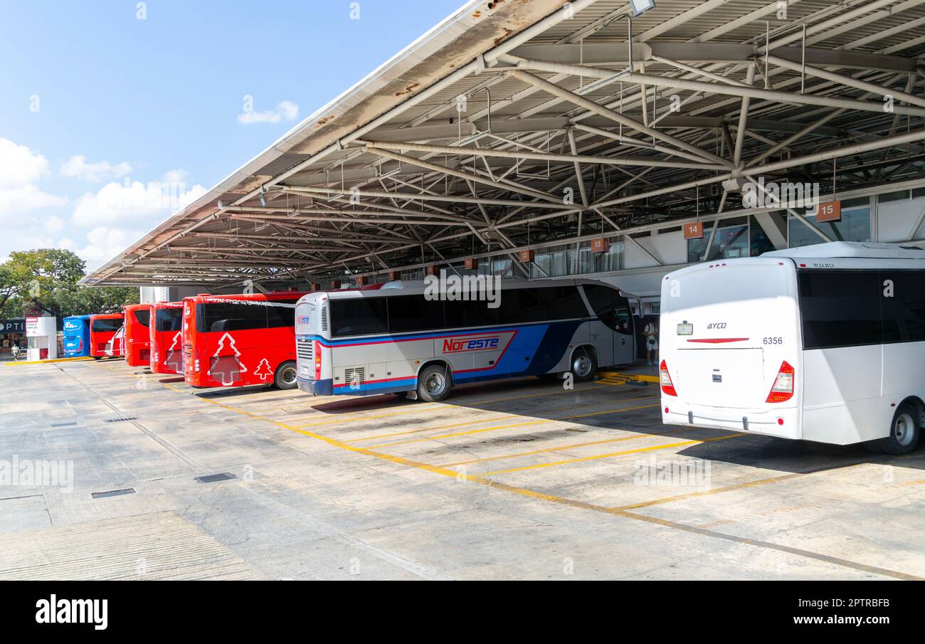 ADO bus terminal downtown city centre, Cancun, Quintana Roo, Yucatan Peninsula, Mexico Stock