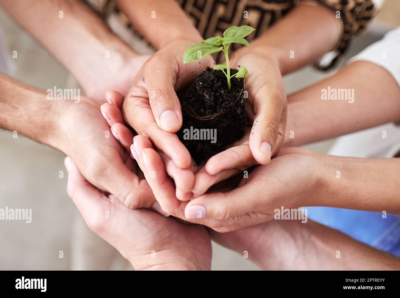 Green Economy, Sustainability Plant Hands And Global Growth Of Teamwork ...