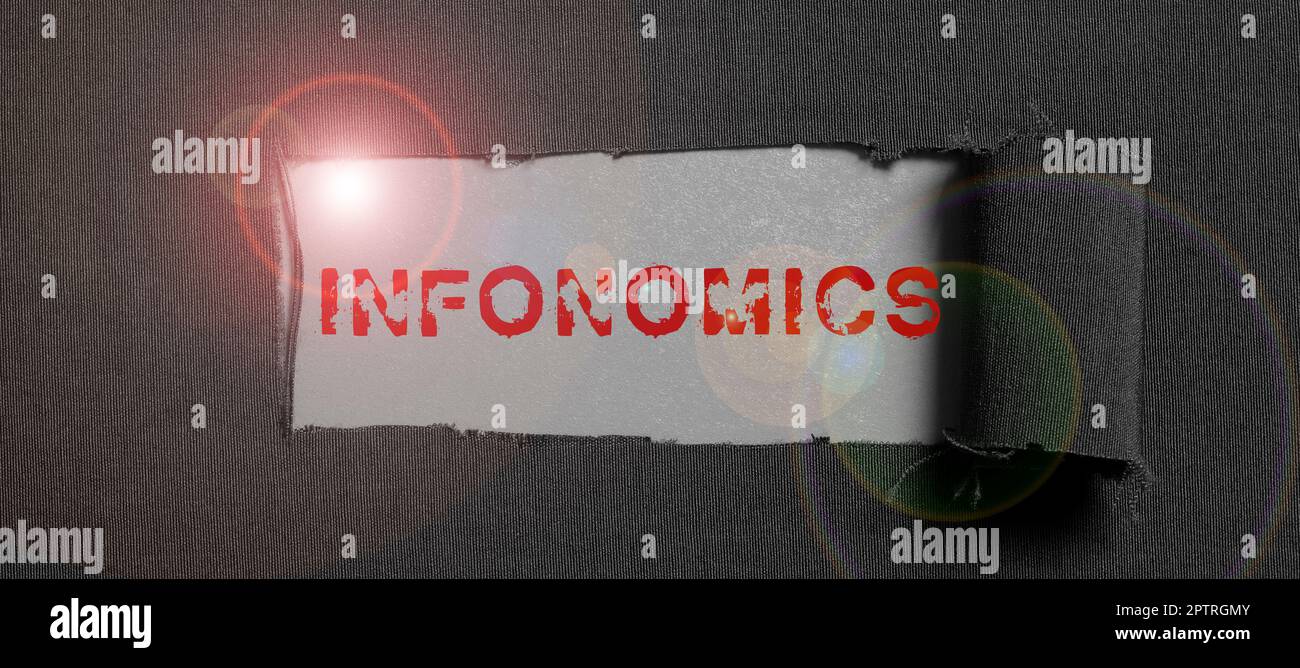 Writing displaying text Infonomics, Business overview visual image used to represent information or data Stock Photo