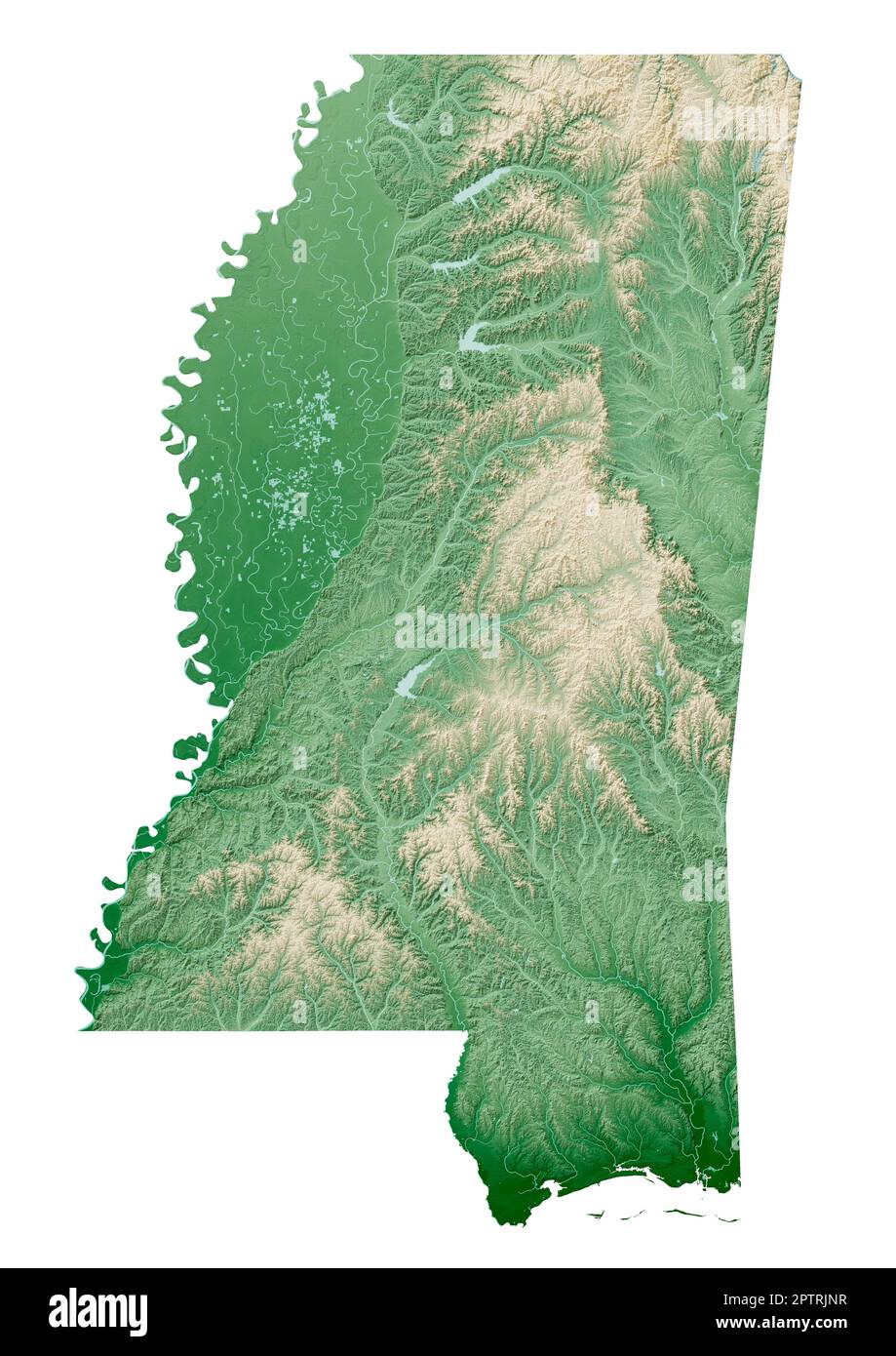 The US state of Mississippi. Highly detailed 3D rendering of a shaded relief map with water bodies. Colored by elevation. Created with satellite data. Stock Photo