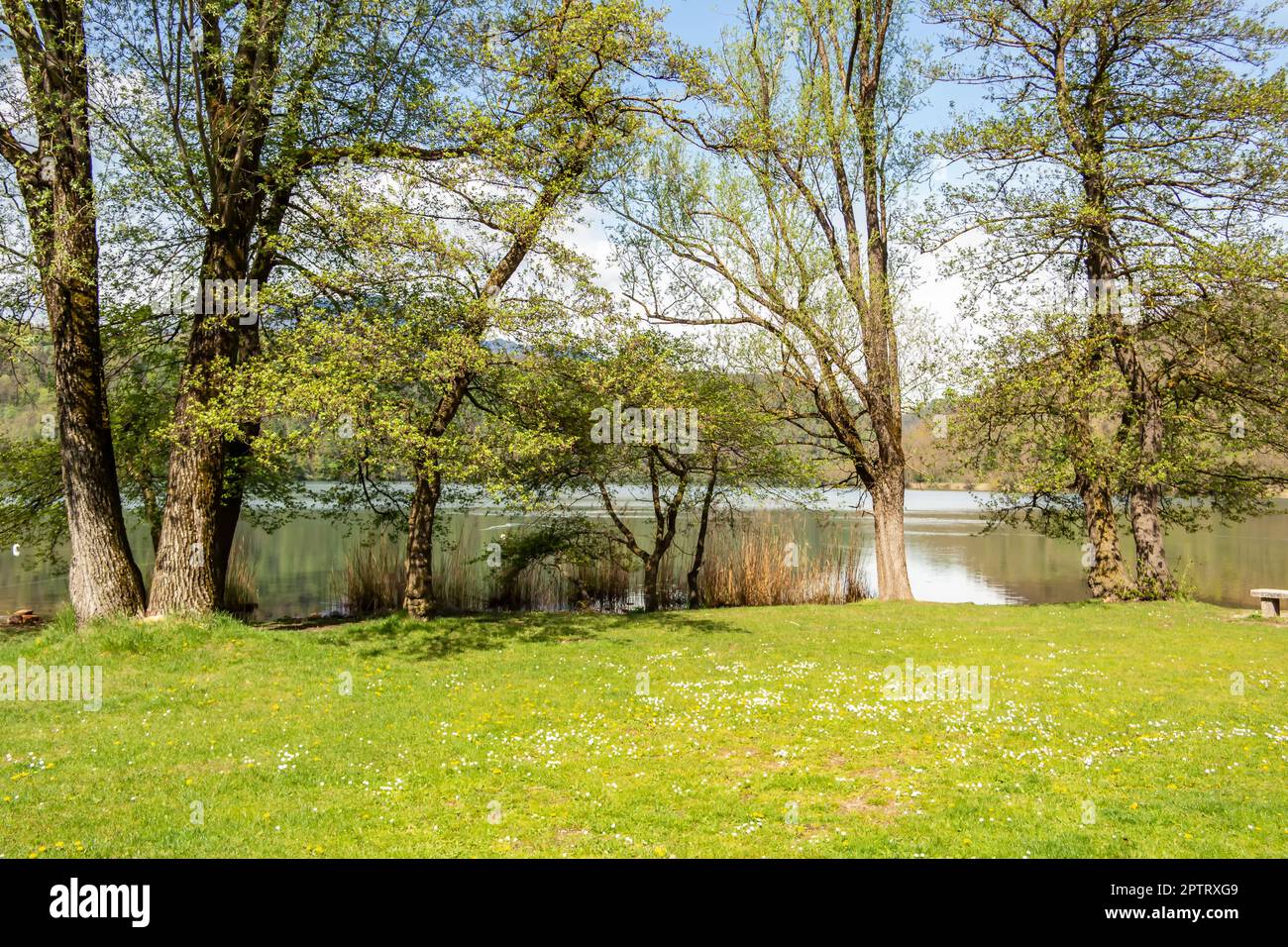 View of the Levico lake park. Trentino Alto Adige, Italy Stock Photo