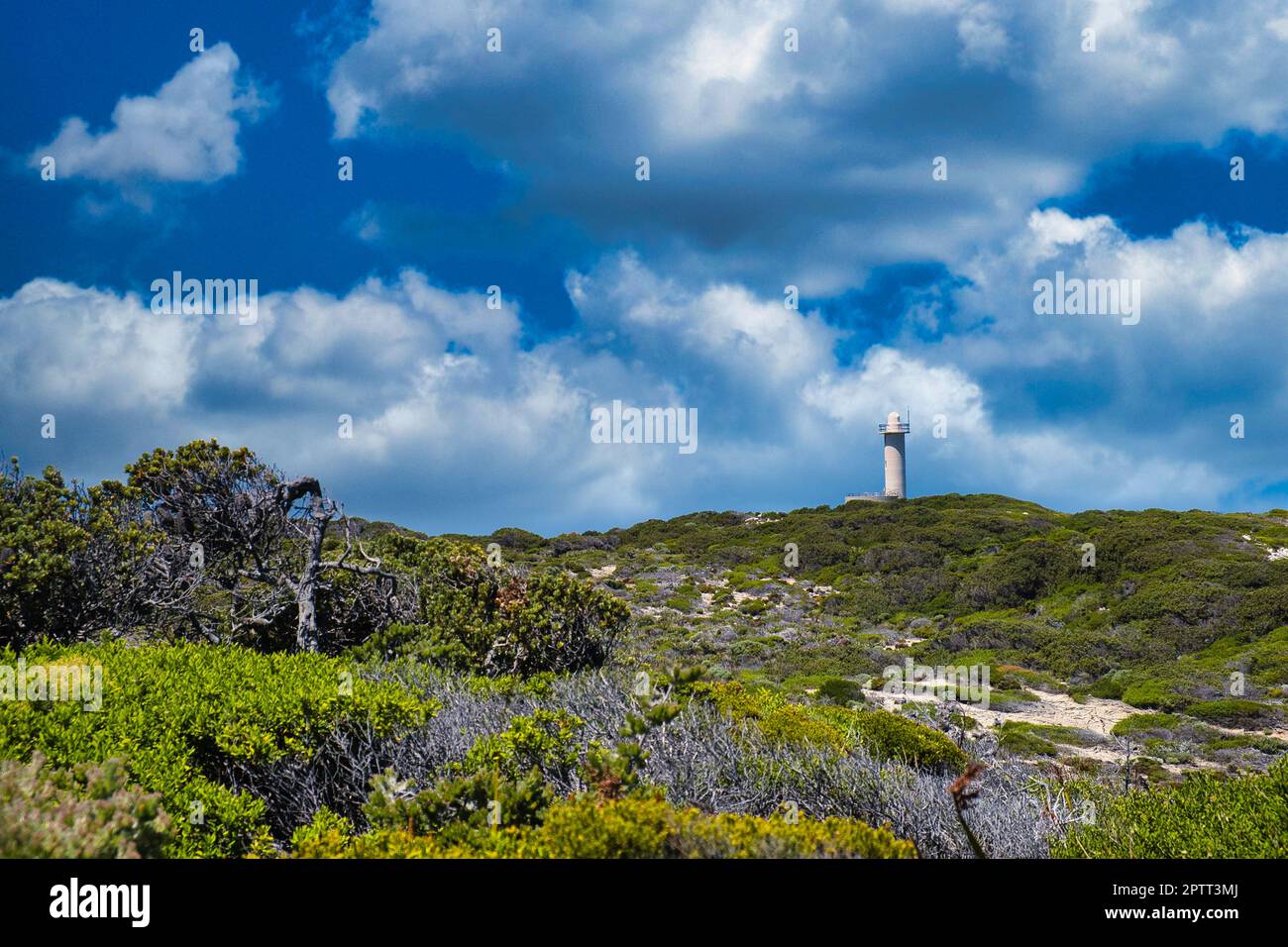 Coastal heathland vegetation and Cave Point Lighthouse in Torndirrup National park, Albany, Western Australia, under a cloudy sky Stock Photo