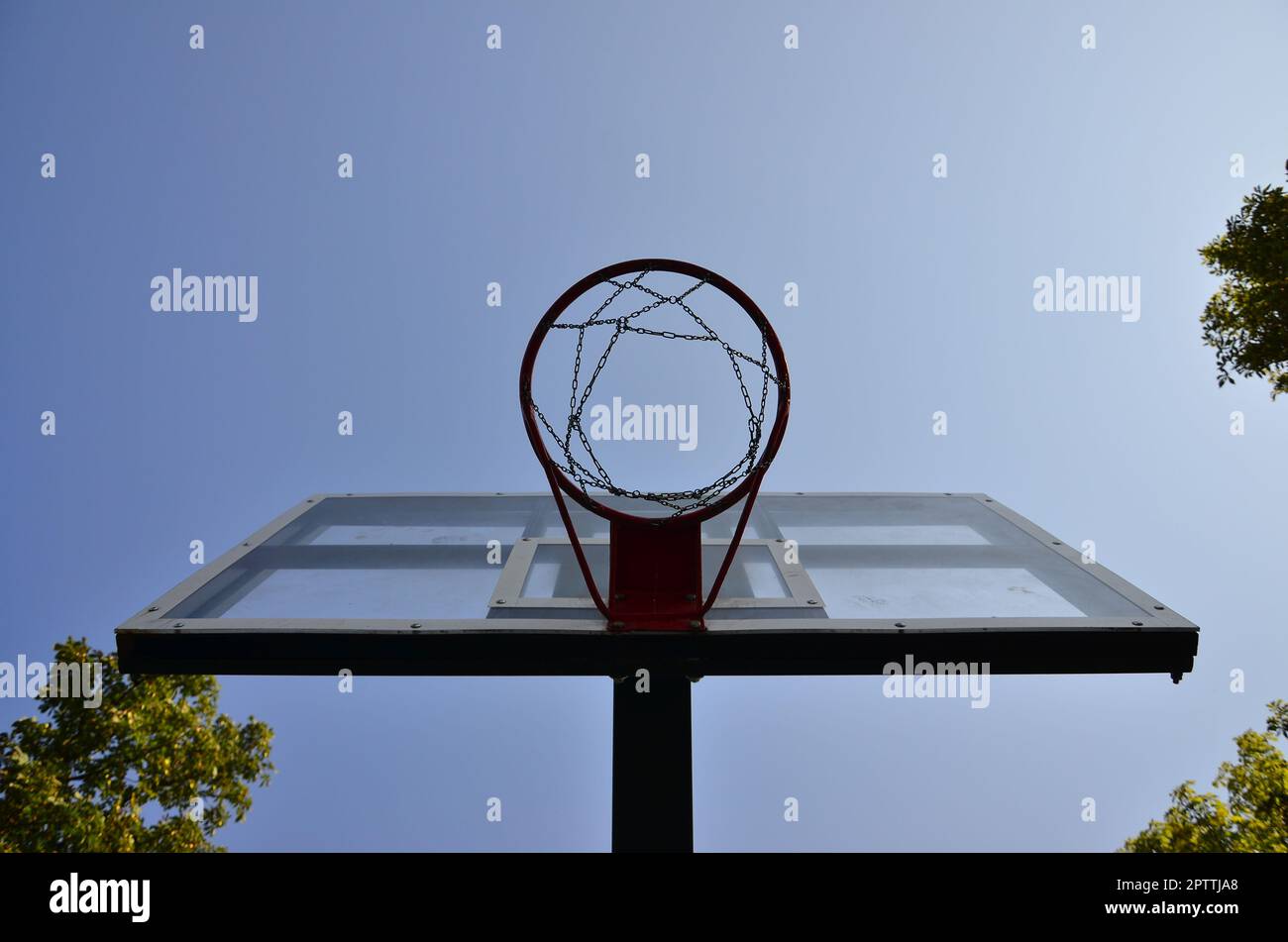 Brazilian basketball player hits buzzer-beater off side of backboard