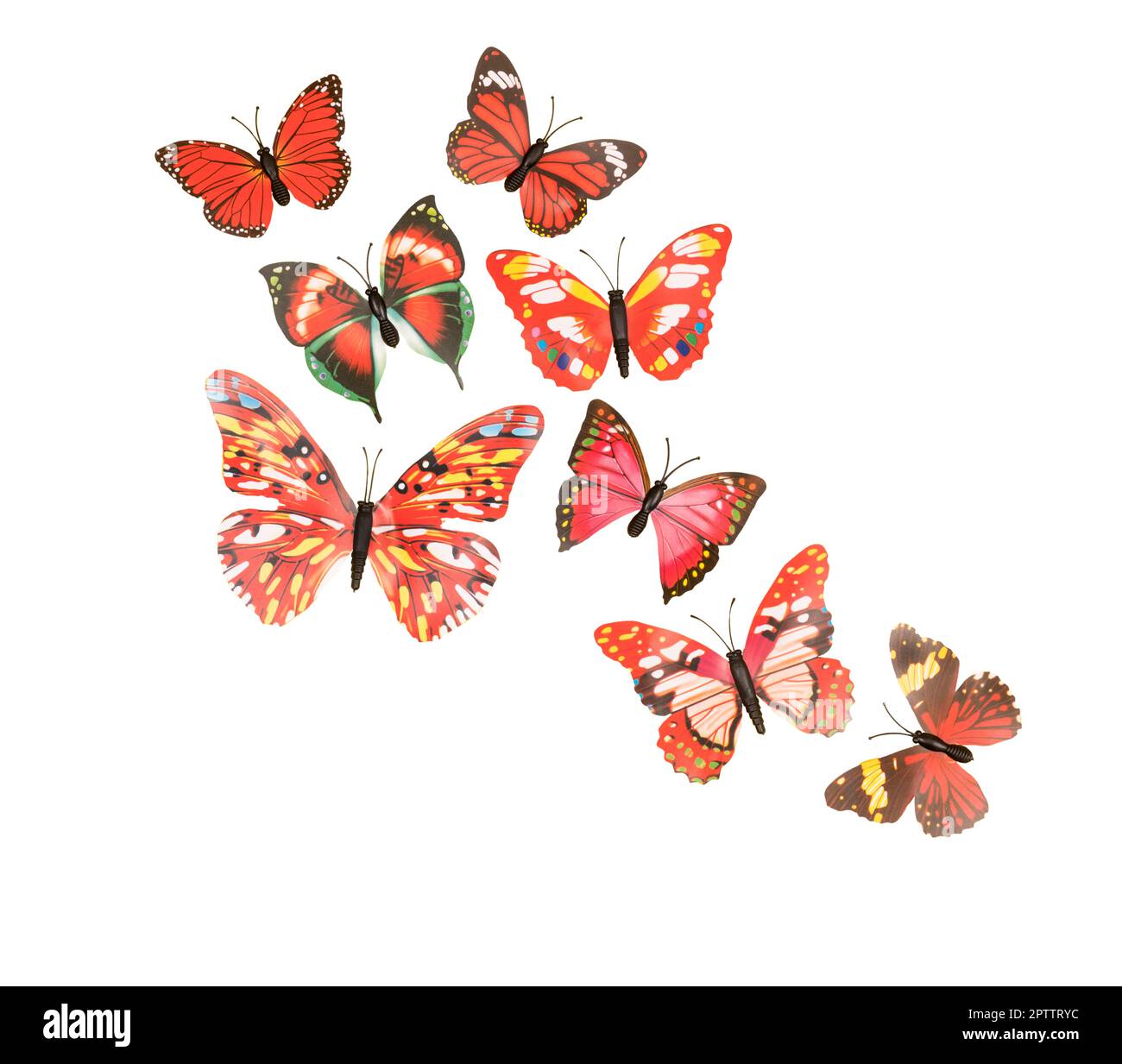 a decoration with fake colored butterflies on a transparent