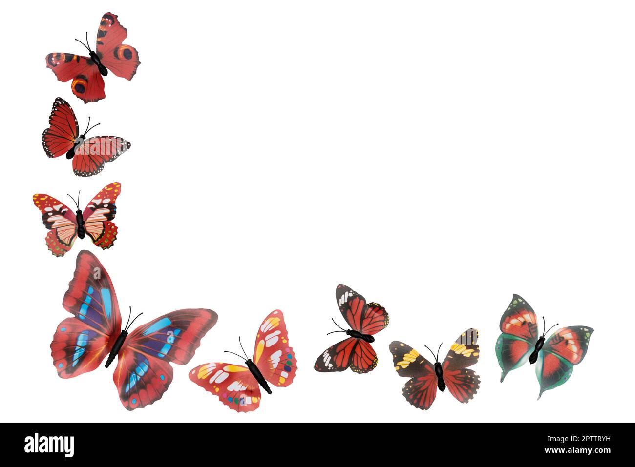 a decoration with fake colored butterflies on a transparent background  Stock Photo - Alamy