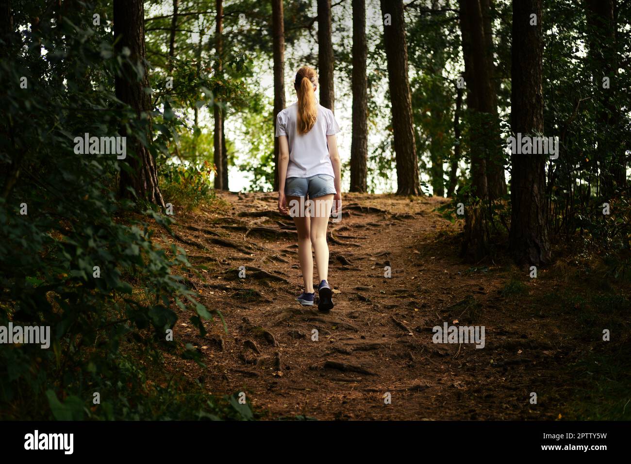 Back view of a young woman hiking along a forest path Stock Photo - Alamy