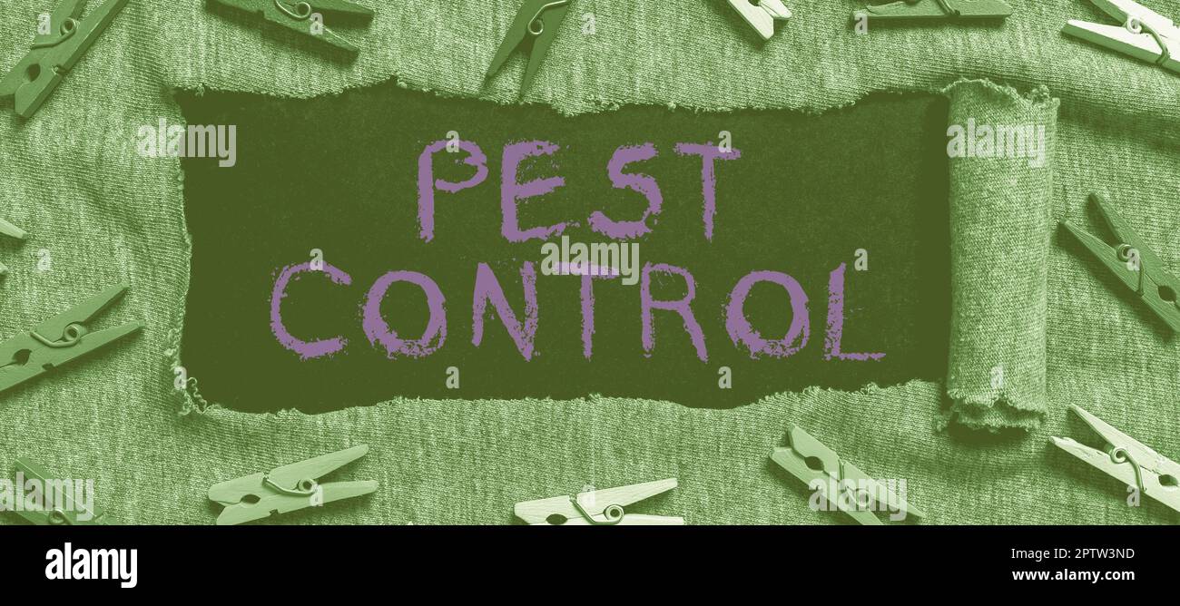 Writing displaying text Pest Control, Concept meaning Killing ...
