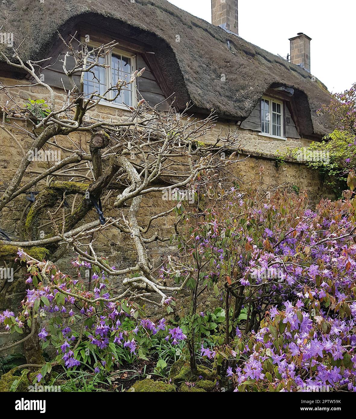 Detail of a stone cottage with a thatched roof Stock Photo - Alamy