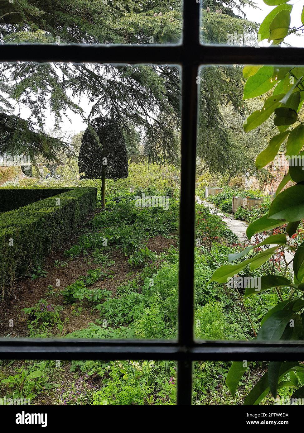 Detail of a lattice window with garden beyond. Stock Photo