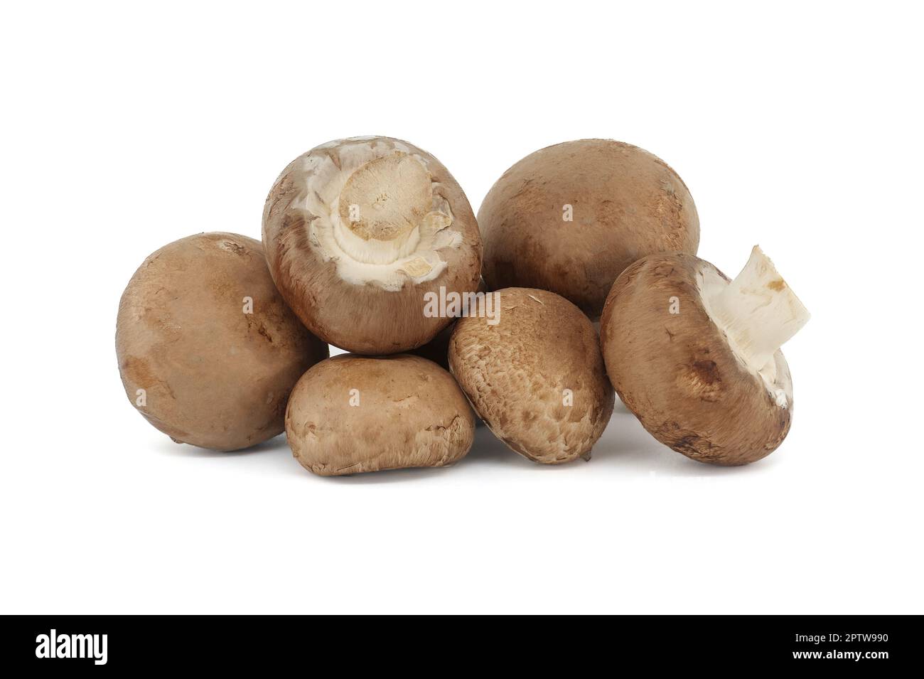 Fresh Baby Bella or Cremini whole mushrooms isolated on white