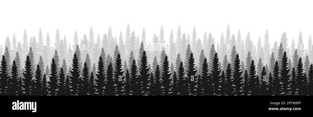 Panorama of dense forest, fir and pine natural green landscape, web ...