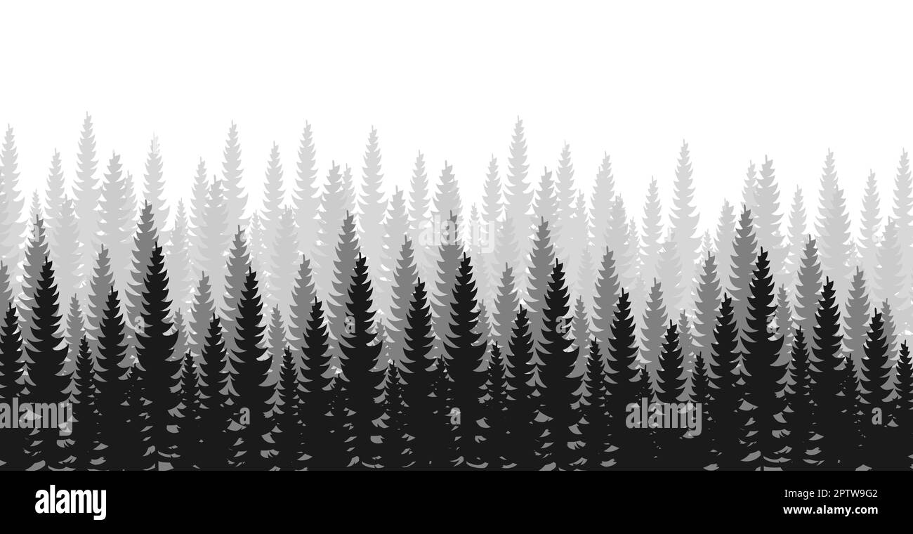 Panorama of dense forest, fir and pine natural green landscape, web ...