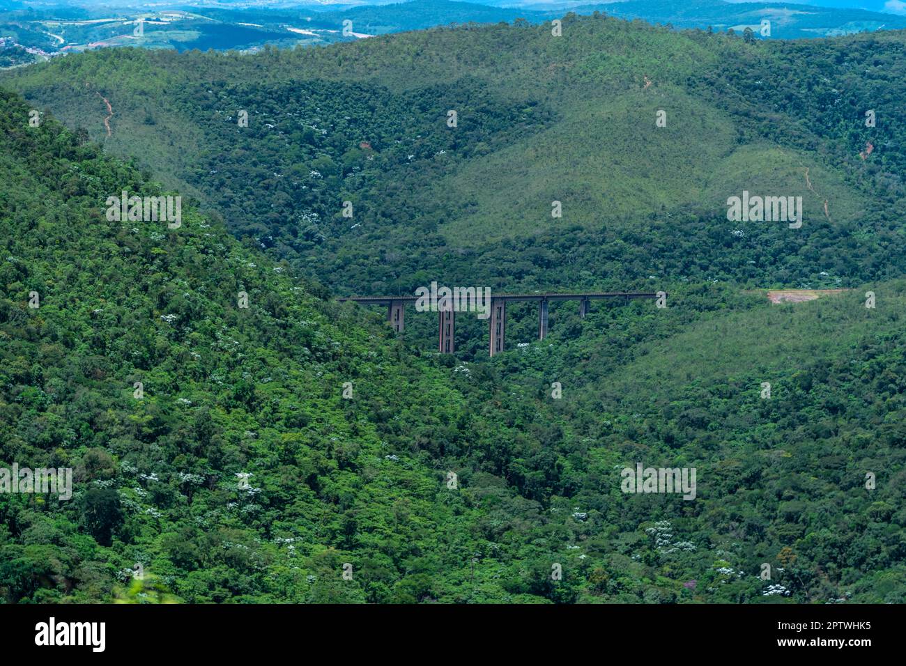 iron transport bridge in the jungle Stock Photo Alamy