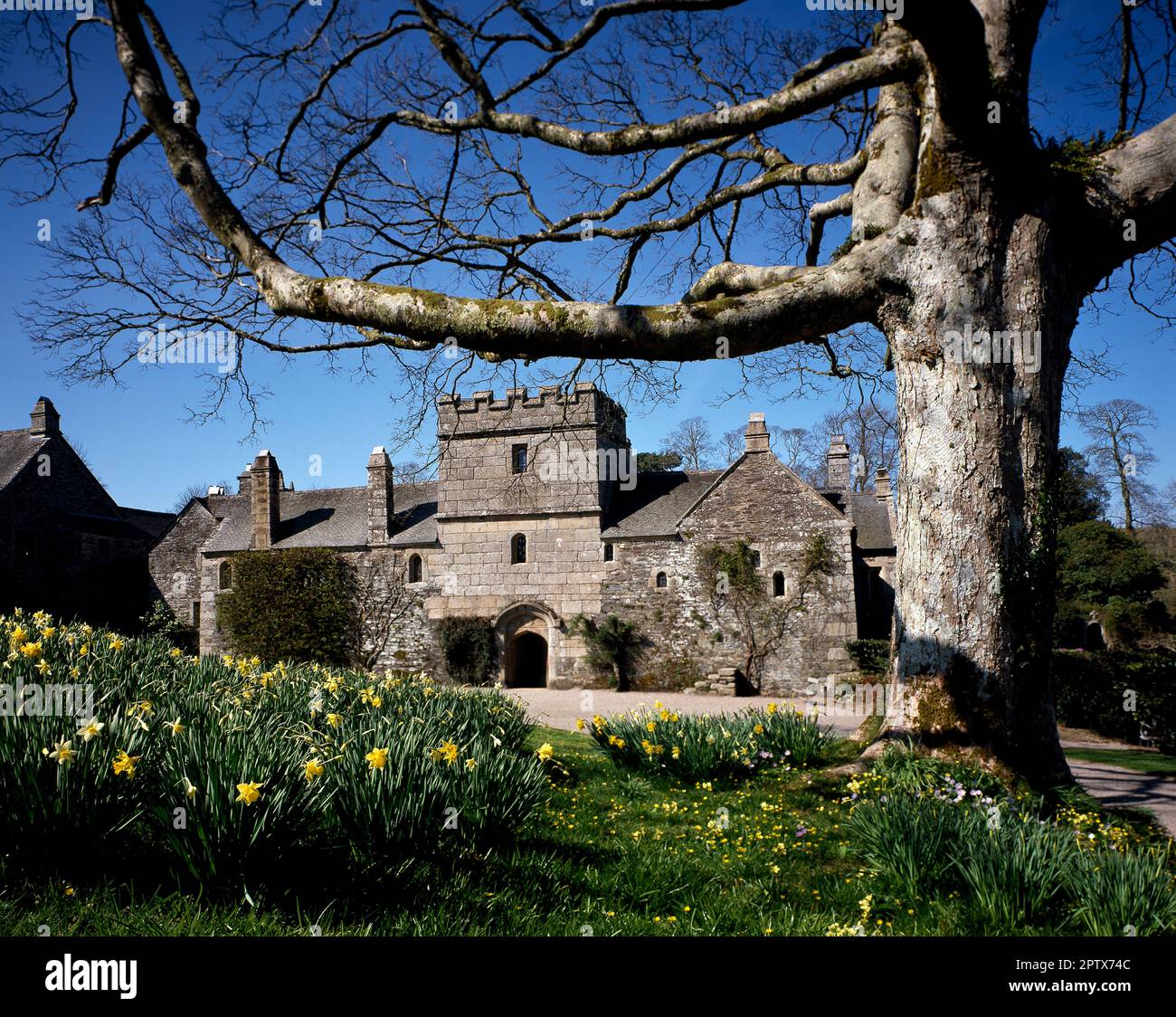 England. Cornwall. Tamar valley. Cotehele House. Stock Photo