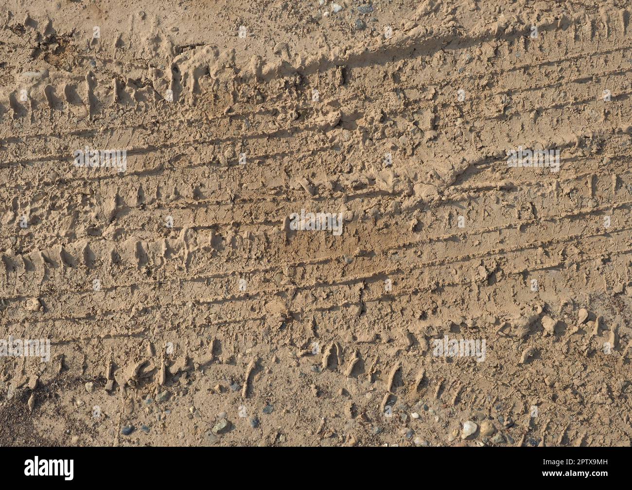 tyre footprint in brown earth soil useful as a background Stock Photo