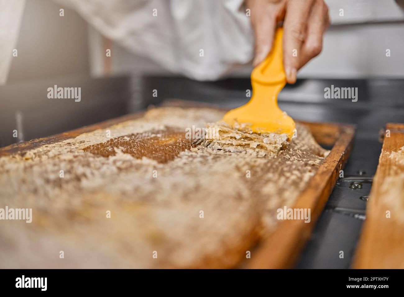 Beekeeper, hand and honey process, production and manufacturing in a