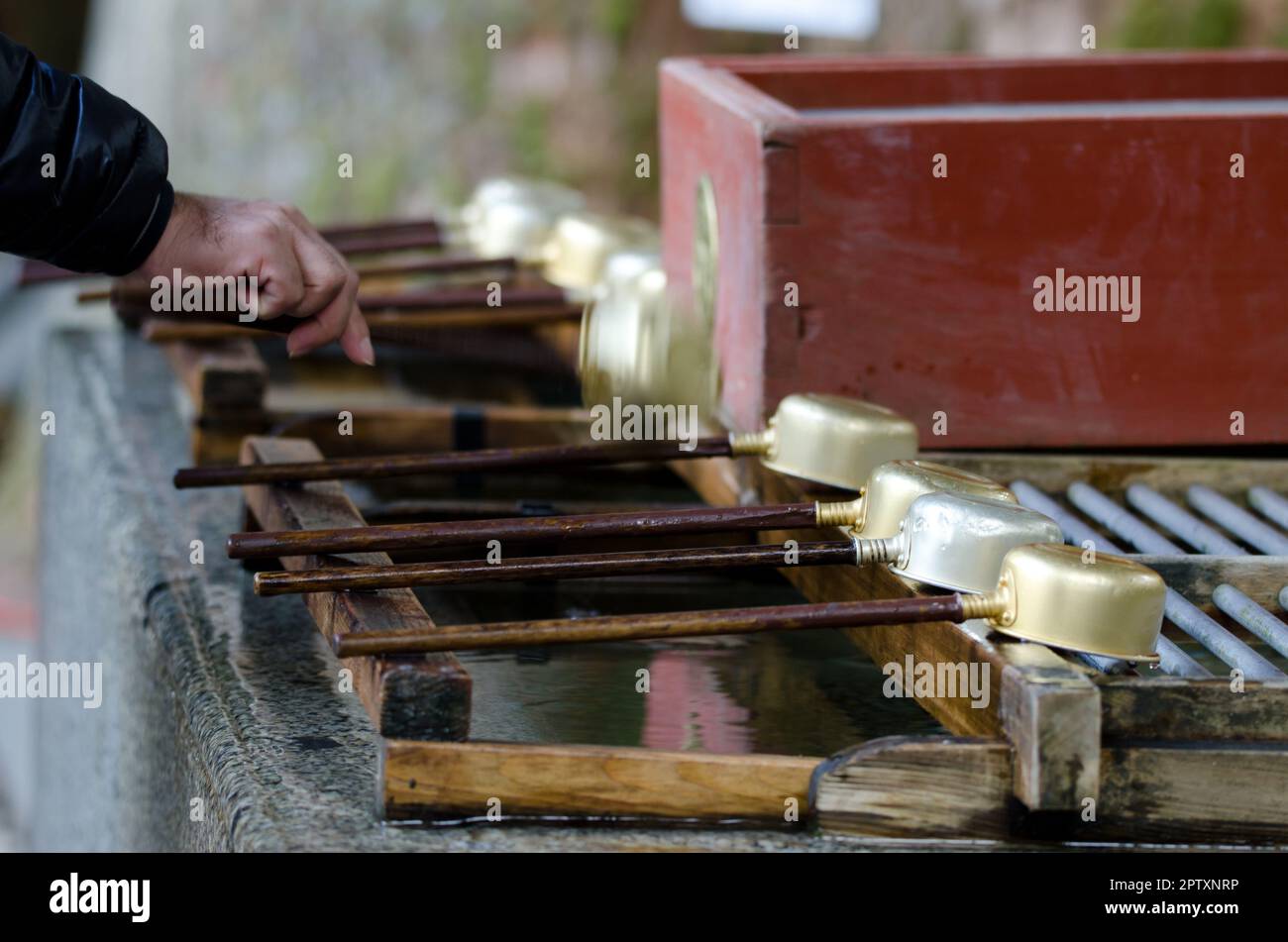 Person performing ablution, ceremonial purification rite known as ...