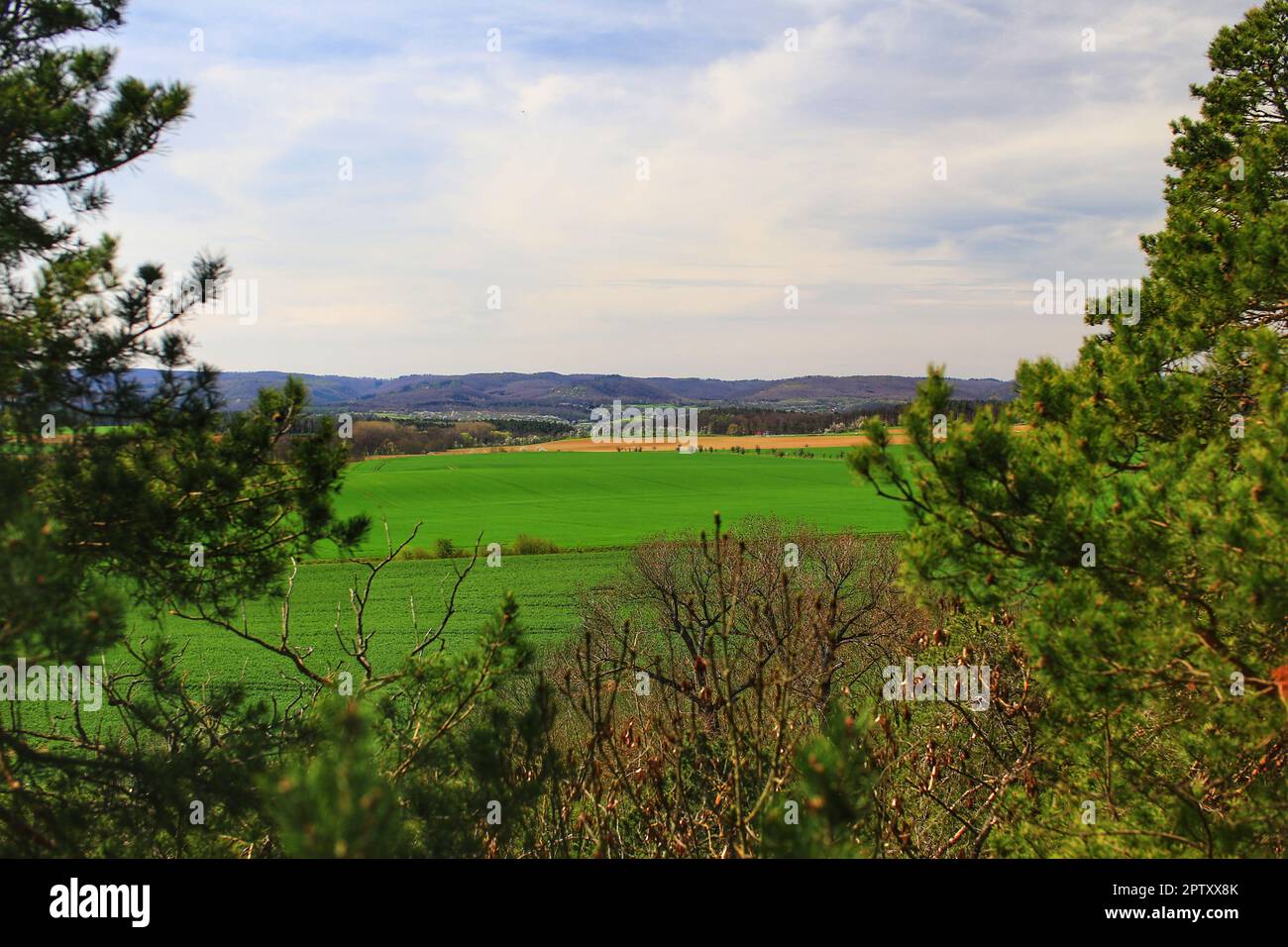 Langenstein hires stock photography and images Alamy