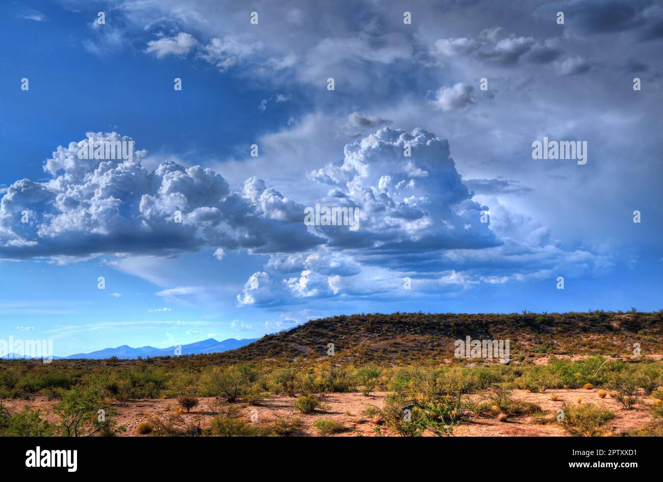 Storm clouds forming in the eastern Arizona desert Stock Photo - Alamy