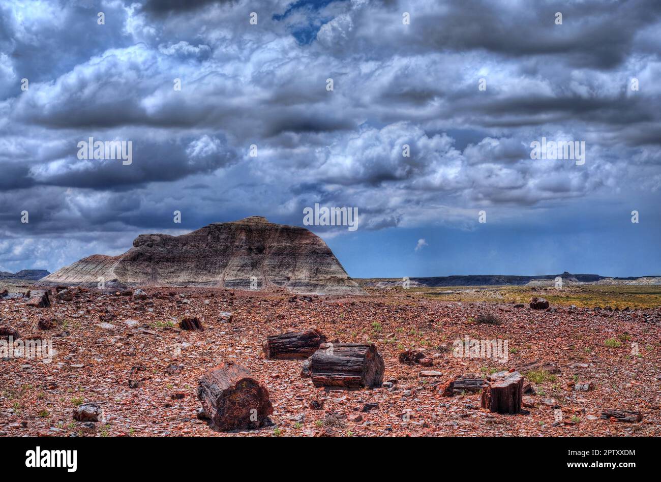 Storm clouds forming over the petrified forest Stock Photo - Alamy