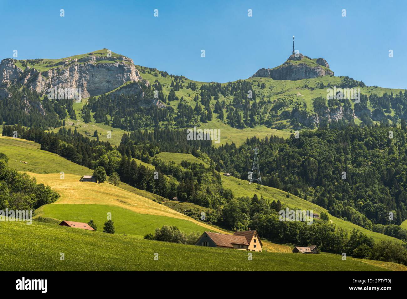 Landscape in the Appenzell Alps with green pastures and meadows, view to Mt. Hoher Kasten, Bruelisau, Canton Appenzell Innerrhoden, Switzerland Stock Photo