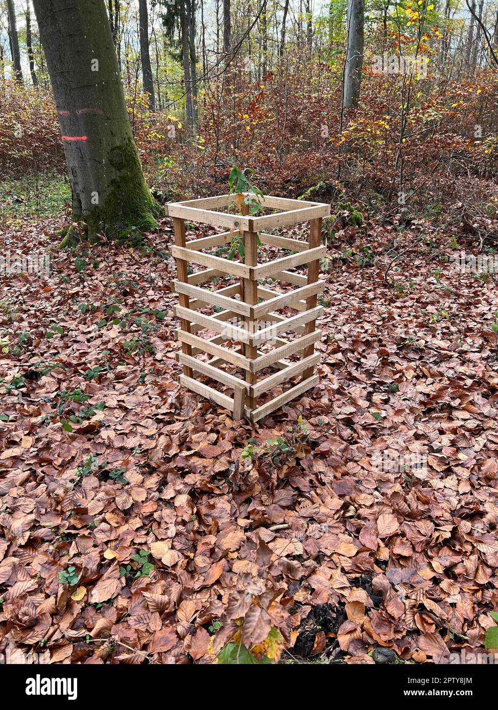 36 Stück Pflanzenschutzgitter Aus Metall – 42 Cm Hoch, Kunststoffbeschichtet, Mit Kabelbindern, Gegen Kaninchen & Eichhörnchen