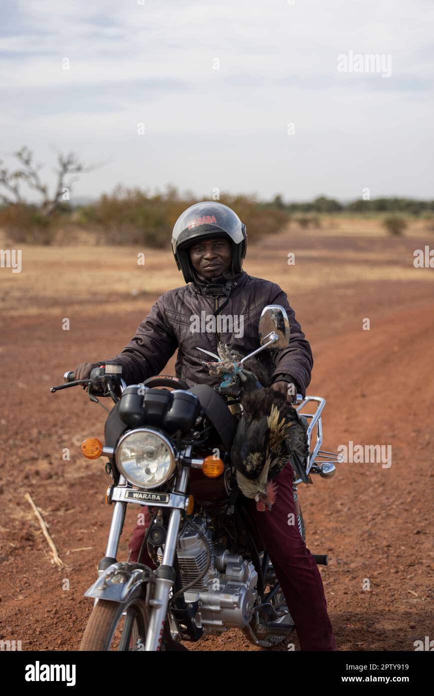 M Ali Rider A motorcycle rider carries a chicken with him on his handlebars in ...