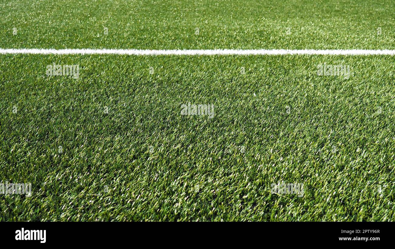 soccer field for championship.The marking of the football field on the