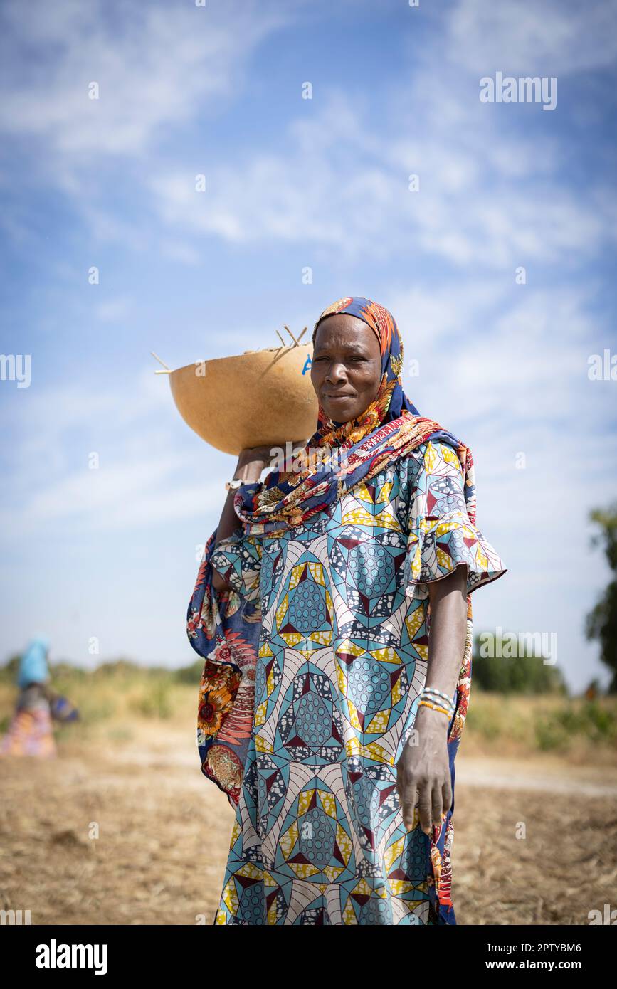 A muslim woman in traditional colorful dress winnows her millet grain crop on her farm in Segou Region, Mali, West Africa. 2022 Mali drought and hunger crisis. Stock Photo