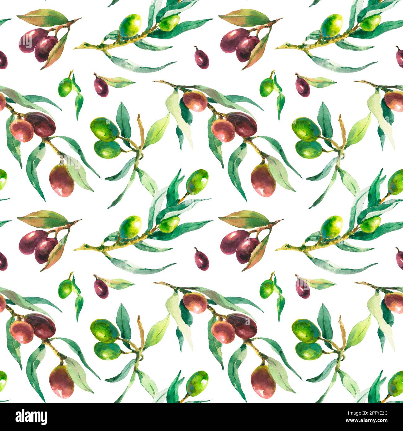 Watercolor seamless pattern of green and black olive branches on a ...