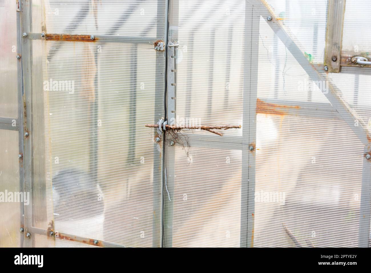 The greenhouse door is closed with a branch. Greenhouse made of plastic