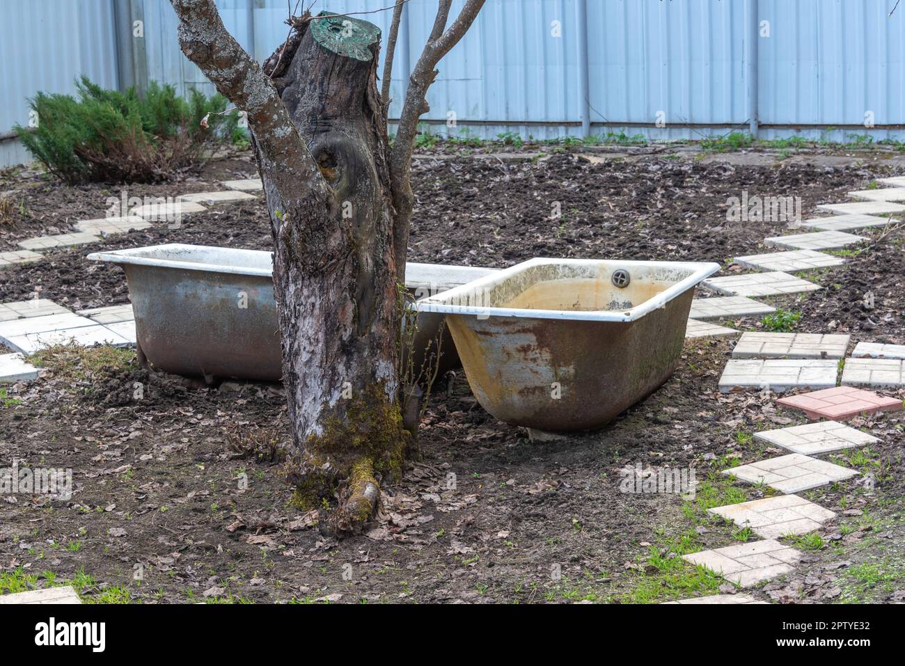 Old castiron bathtubs for collecting rainwater and watering in drought